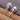 .925 Silver Earrings - Ball Stud Trust Davis
