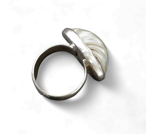 Shell 925 Ring 925 Sterling Silver Nautilus Shell Ring – Wholesale Silver Jewellery