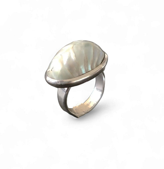 Shell 925 Ring .925 Sterling Silver Nautilus Shell Ring – Wholesale Silver Jewellery