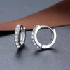 925 Silver Needle Single Row Full Crystal Zircon Earrings