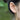 Star and Moon Silver Stud Earrings Anenjery